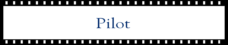 [banner - pilot]