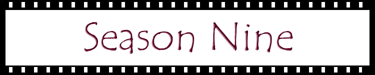 [banner - season nine]